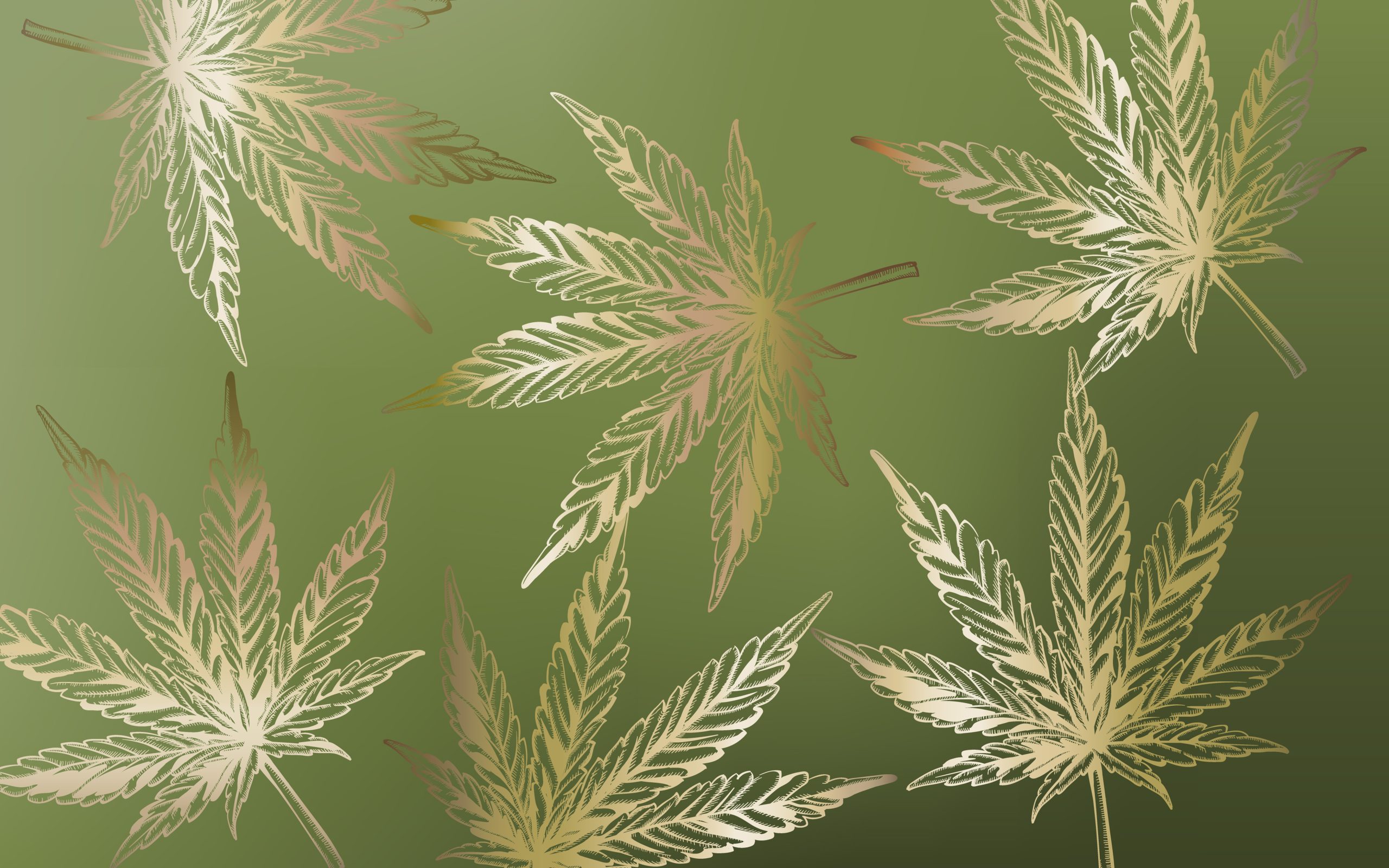 Line art marijuana cannabis leaves on green background Line art marijuana cannabis leaves on green background. Vector
